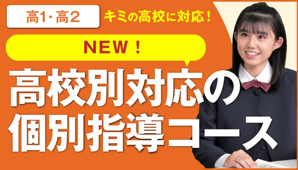 高校別対応の個別指導コース 